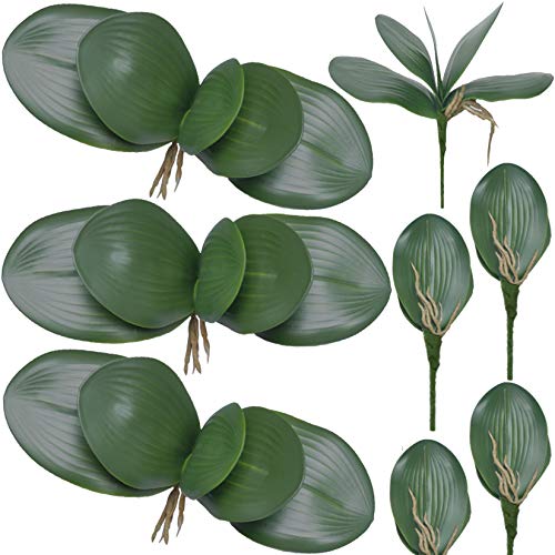 FagusHome 8 Stück Künstliche Orchidee Blätter 26cm - Phalaenopsis Kunstpflanzen Grün Deko (8Pcs) von FagusHome