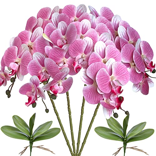 FagusHome Künstliche Phalaenopsis-Blumen mit 2 Bündeln Blättern, künstliche Orchideenstiele/Schmetterlingsorchideen für Zuhause, Hochzeit, Party-Dekoration, 81,3 cm, 4 Stück, Rosa FagusHome Künstliche Phalaenopsis-Blumen mit 2 Bündeln Blättern, künstliche Orchideenstiele/Schmetterlingsorchideen für Zuhause, Hochzeit, Party-Dekoration, 81,3 cm, 4 Stück, Rosa von FagusHome