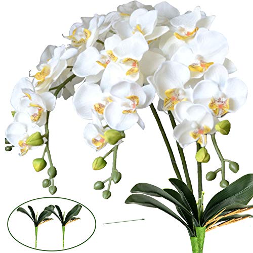 FagusHome Künstliche Phalaenopsis Kunstblumen aus Seide, 3 Stück mit 2 Bündeln, künstliche Orchideen, Stiel, Pflanzen in Schmetterlings-Phalaenopsis-Blumen für Zuhause, Party, Dekoration weiß von FagusHome