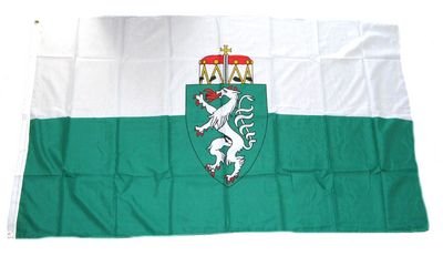 Fahne / Flagge Österreich - Steiermark NEU 90 x 150 cm von FahnenMax