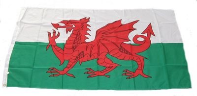 Fahne/Flagge Wales NEU 90 x 150 cm Flaggen von FahnenMax