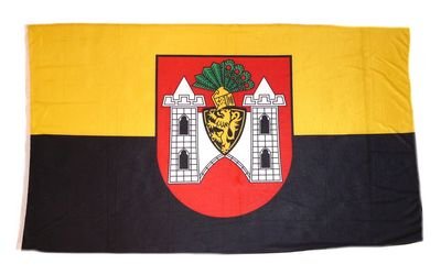 Fahne/Stadtflagge Plauen Vogtland 90 x 150 cm Flagge von FahnenMax