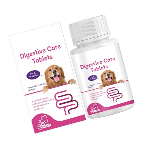 Behandlungen Wiederherstellung Präbiotika Nutramine Mischung Umfassendes Hunde Wellness Stärken Immunsysteme Haustier Verdauung Behandlungen Wiederherstellung Präbiotika Nutramine Mischung Umfassendes Hunde Wellness Stärken Immunsysteme Haustier Verdauung von Fahoujs