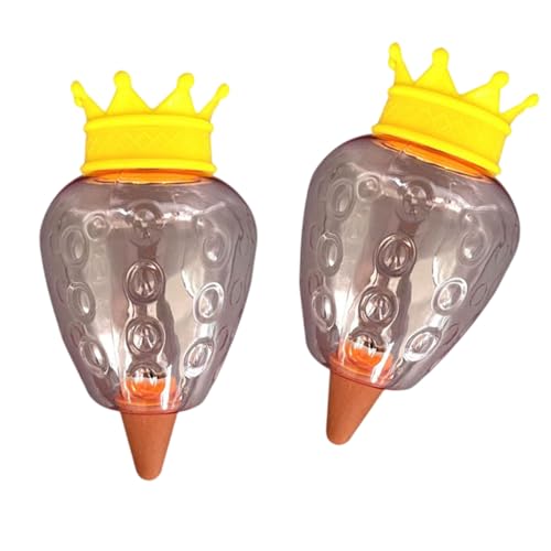 Fahoujs 2pcs Herz Pflanze Wasserkugel Setzen Sie Wasserlampe Für Innenblüten Freien Freien Die Langsam Freisetzende Globes Fahoujs 2pcs Herz Pflanze Wasserkugel Setzen Sie Wasserlampe Für Innenblüten Freien Freien Die Langsam Freisetzende Globes von Fahoujs