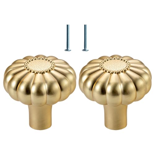 Fahoujs 2pieces Multipurpose Gebürstete Goldschubladengriff von Fahoujs