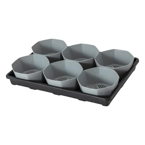Fahoujs 6 Zellsamlingtöpfe Tablett Mit 6 Zoll Töpfen Sämlings Shuttle Tablett Mit Atmungsaktivem Und Wasserspeicher Für Die Kinderbuhlablettung Fahoujs 6 Zellsamlingtöpfe Tablett Mit 6 Zoll Töpfen Sämlings Shuttle Tablett Mit Atmungsaktivem Und Wasserspeicher Für Die Kinderbuhlablettung von Fahoujs