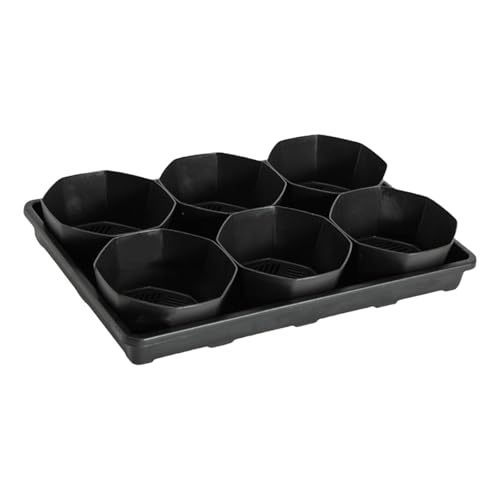 Fahoujs 6 Zellsamlingtöpfe Tablett Mit 6 Zoll Töpfen Sämlings Shuttle Tablett Mit Atmungsaktivem Und Wasserspeicher Für Die Kinderbuhlablettung Fahoujs 6 Zellsamlingtöpfe Tablett Mit 6 Zoll Töpfen Sämlings Shuttle Tablett Mit Atmungsaktivem Und Wasserspeicher Für Die Kinderbuhlablettung von Fahoujs