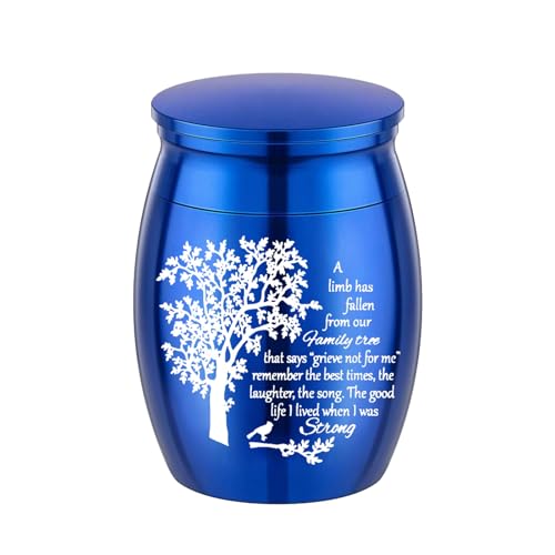 Fahoujs Haustier Asche Sarg Urne Sarg Für Tierische Haustier Mom Urne Für Asche/Haar Einfacher Glas Sarg Für Asche/Haar Aluminiumlegierung Urne von Fahoujs
