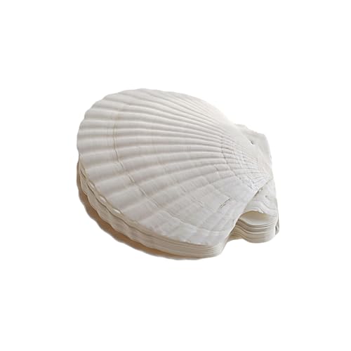Fahoujs Reflliable Notebook Natural Shell Form Binder Planer Journal Notepads Für Kreative Köpfe Und Naturstile Schreiben Fahoujs Reflliable Notebook Natural Shell Form Binder Planer Journal Notepads Für Kreative Köpfe Und Naturstile Schreiben von Fahoujs