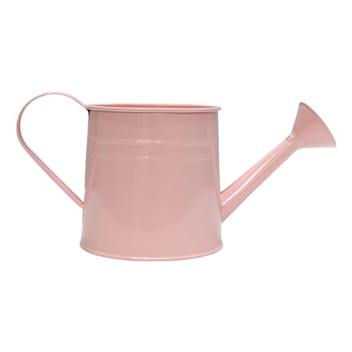 Metallwässerung Können Stilvolle Metallgaserflasche Einzigartige Pflanzenvase Für Home Office Garten Schmücken Vintage Garten Dekore von Fahoujs