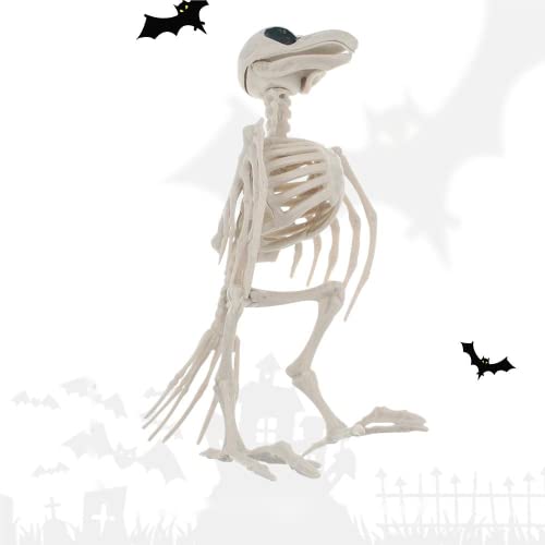 FainFun Tier Skelett Deko, Skelett Rabe aus Plastik (15 * 10 * 19cm), Horror Knochen Deko für Halloween, Realistische Simulation Raben Skelett, Rabe Skeleton Decor für Horror-Themenparty von FainFun