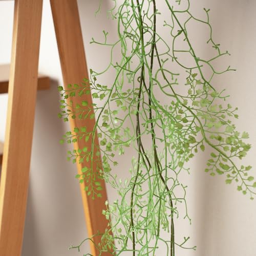 Fairdeco Künstliche Zweige für Wandbehänge, 2 Stück, 127 cm lang, künstliche Gründekoration, Maidenhaar, Farnzweiggirlande, hängende Reben für Zuhause, Hochzeitsdekoration Fairdeco Künstliche Zweige für Wandbehänge, 2 Stück, 127 cm lang, künstliche Gründekoration, Maidenhaar, Farnzweiggirlande, hängende Reben für Zuhause, Hochzeitsdekoration von FairDeco