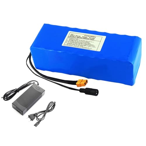 FairyHover 36V 10Ah Akku Ebike-Akku Wiederaufladbarer Lithium-Ionen-Ersatzakku Mit Ladegerät Tragbarer Polymer-Lithium-Akku T-Plug,20 * 9 * 7CM von FairyHover