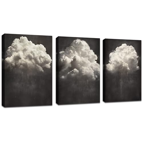 3 Pcs Leinwandbilder Bilder mit Rahmen Minimalisti Schwarz Weiß Wolken bild auf leinwand Wandkunst Modern Wandbilder Kunstdruck Deko für Wohnzimmer Schlafzimmer fertig zum Aufhängen 90x40cm(30x40x3) von FajerminArt