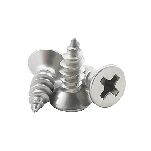 Fajoeda 120 Stück Holzschrauben Senkkopf,M4 X 12 mm Schnellbauschraube Edelstahl A2 - V2A Vollgewinde mit Kreuzschlitz Selbstschneidende Schrauben(10mm bis 30mm verfügbar) von Fajoeda