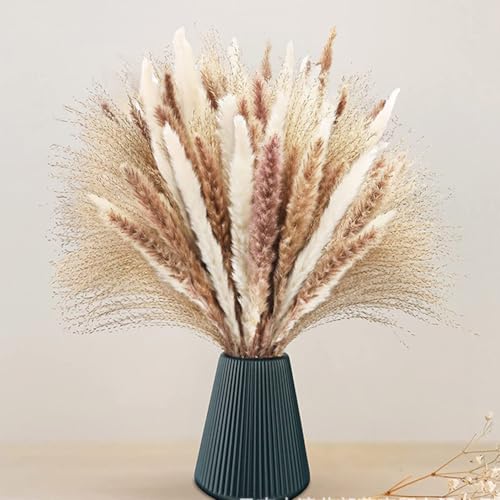 Falafoty Getrocknetes Pampasgras Dekoration, Natürlichen getrockneten Blumen Bouquet,Bunny Tails Getrocknete Blumen Boho Tischdekoration,Pampasgras für Hochzeit Baby Dusche Schlafzimmer Vasen (60PCS) von Falafoty