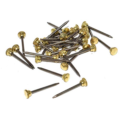 25 x 24 mm Messingkopf gerändelte Bildernadeln strapazierfähige Nagelhaken, Fotorahmen zum Aufhängen 25 x 24 mm Messingkopf gerändelte Bildernadeln strapazierfähige Nagelhaken, Fotorahmen zum Aufhängen von Falcon Workshop Supplies Ltd