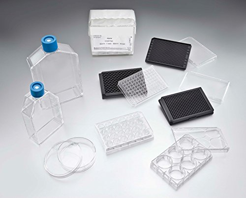 FALCON 354771 Teller 1536 Brunnen Corning PureCoat Amine von Falcon