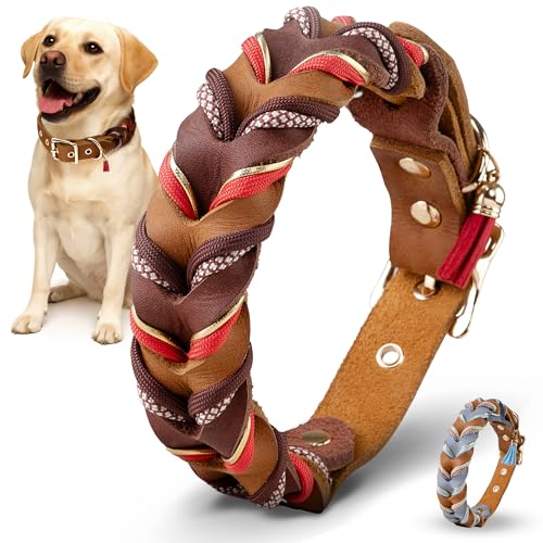 FAMBLANETIA Hundehalsband Leder & Paracord geflochten | Große & kleine Hunde | Set mit Hundeleine | 3cm breit | außergewöhnlich, ausgefallen | rot braun Gold | weiches Fettleder | Tau handgemacht von Famblanetia