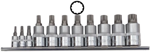 Famex Werkzeug 10720 Bit-Einsätze für Vielzahn XZN-Schrauben, Größen 4-16, 11-teilig Famex Werkzeug 10720 Bit-Einsätze für Vielzahn XZN-Schrauben, Größen 4-16, 11-teilig von FAMEX