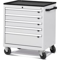 Fami FLEXA mobiler Schubladenschrank, 5 Schubladen, HxBxT 853 x 794 x 600 mm, lichtgrau von Fami