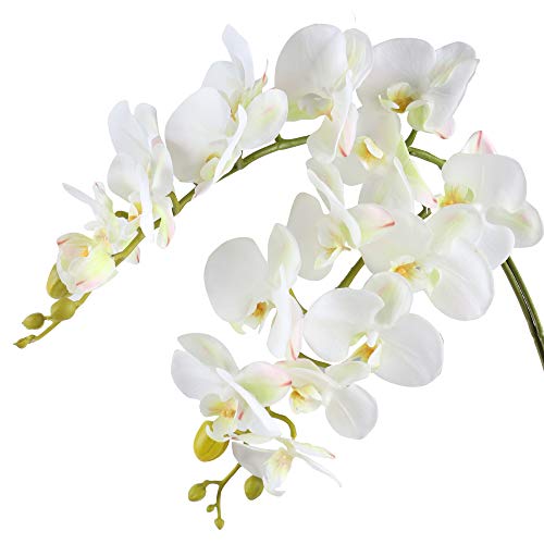 Famibay Kunstblume Orchideenzweig Phalenopsis Orchidee Künstlich Weiß Orchidee Blumen Real Touch von Famibay
