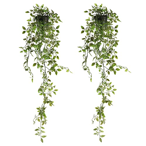Famibay 2 Stück Künstlich Hängepflanze im Topf Grüne Kunstpflanze Hängend Lang Künstliche Pflanzen Balkon Hängend Plastik Hängepflanzen Grünpflanzen Zimmerpflanzen für Wohnzimmer Badezimmer Wand von Famibay