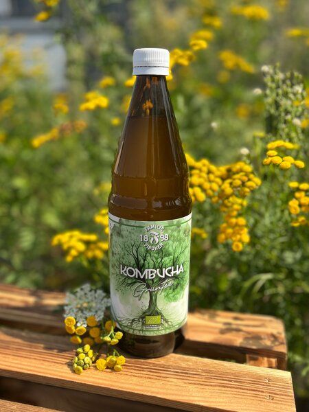 Familie Fischer Bio-Kombucha Traditioneller Bio-Kombucha (3x 0,75L) Grüntee, Ohne Zucker, Nicht Filtriert, Nicht Pasteurisiert von Familie Fischer Bio-Kombucha