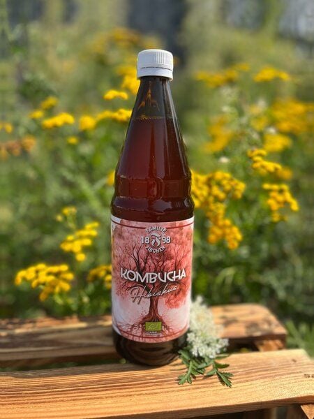 Familie Fischer Bio-Kombucha Traditioneller Bio-Kombucha (3x 0,75L) Hibiskus, Ohne Zucker, Nicht Filtriert, Nicht Pasteurisiert von Familie Fischer Bio-Kombucha
