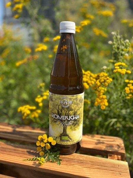 Familie Fischer Bio-Kombucha Traditioneller Bio-Kombucha (3x 0,75L) Mate, Ohne Zucker, Nicht Filtriert, Nicht Pasteurisiert von Familie Fischer Bio-Kombucha