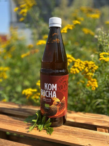Familie Fischer Bio-Kombucha Traditioneller Bio-Kombucha (3x 0,75L) Pfefferminz/Chili, Ohne Zucker, Nicht Filtriert, Nicht Pasteurisiert von Familie Fischer Bio-Kombucha