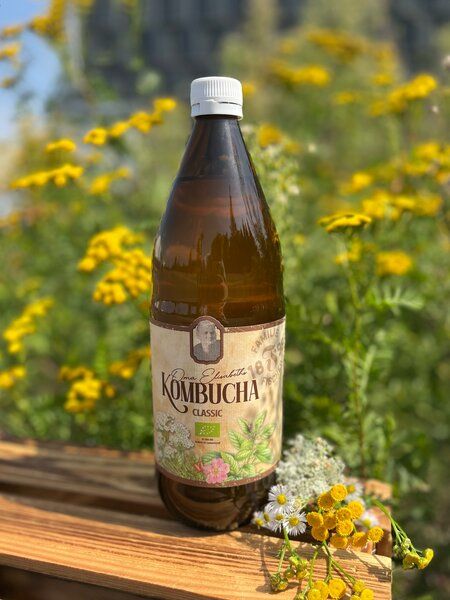 Familie Fischer Bio-Kombucha Traditioneller Bio-Kombucha (3x 1L) Pfefferminz/Kräuter, Ohne Zucker, Nicht Filtriert, Nicht Pasteurisiert von Familie Fischer Bio-Kombucha
