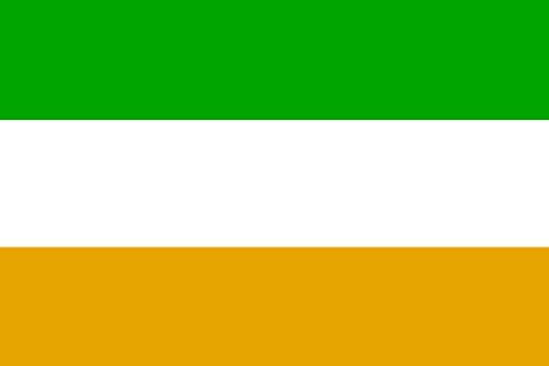Fahne - Grün Weiß Orange - Gr. ca. 40x30 cm - 24457 - neutrale Flagge, Dekoflagge von Fan-O-Menal