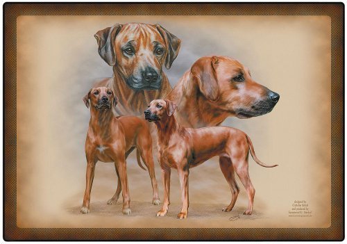 Fan-O-Menal Platzdeckchen Tischset Unterlage mit HUNDEMOTIV - Rhodesian Ridgeback - Gr. ca. 40cm x 28cm (23025) Collection Bötzel von Fan-O-Menal