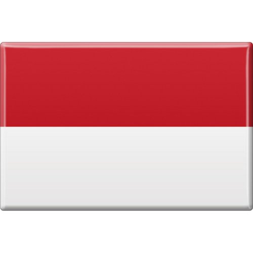 Kühlschrankmagnet - Länderflagge Monaco - Gr.ca. 8x5,5 cm - 38086 - Magnet von Fan-O-Menal