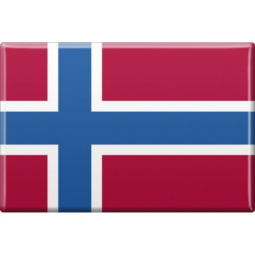 Kühlschrankmagnet - Länderflagge Norwegen - Gr.ca. 8x5,5 cm - 38098 - Magnet von Fan-O-Menal