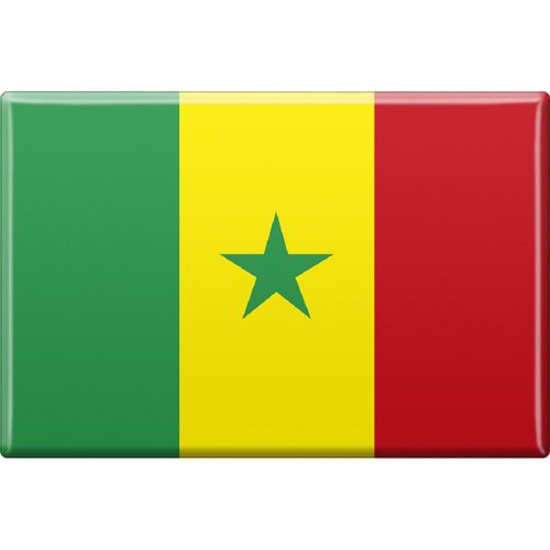 Kühlschrankmagnet - Länderflagge Senegal - Gr.ca. 8x5,5 cm - 37817 - Magnet von Fan-O-Menal