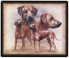 Mauspad MOUSEPAD Hundemotiv - Rhodesian Ridgeback - 22594 - ©Kollektion Bötzel von Fan-O-Menal