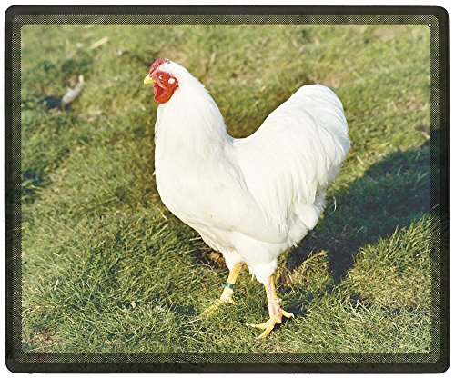 Mousepad Mauspad mit Motiv - Huhn weiß - 22696 - Gr. ca. 24 x 20 cm von Fan-O-Menal