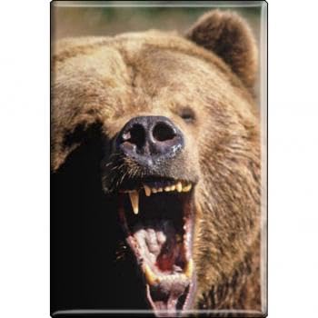 TIERMAGNET - Bär Braunbär Kodiac - Gr. ca. 8 x 5,5 cm - 37033 - Küchenmagnet TIERMAGNET - Bär Braunbär Kodiac - Gr. ca. 8 x 5,5 cm - 37033 - Küchenmagnet von Fan-O-Menal
