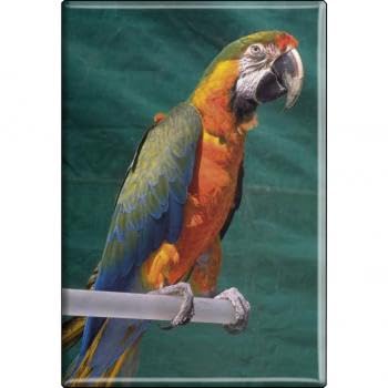 TIERMAGNET - Vogel Papageien - Gr. ca. 8 x 5,5 cm - 37242 - Küchenmagnet von Fan-O-Menal