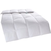 fan Daunenbettdecke "f.a.n. Canada" warm 1 Stk. tlg. von Fan