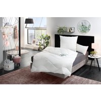 fan Kunstfaserbettdecke "f.a.n. Antibac mit antibakterieller Wirkung" leicht Füllung Polyester Bezug Baumwolle 1 Stk. tlg. passend zur Bettdecke GRATIS dazu 1 Kopfkissen 40x80 cm von Fan