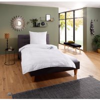 fan Microfaserbettdecke "Komfort Plus" leicht 1 Stk. tlg. zu jeder Jahreszeit ideal für Schwitzer von Fan