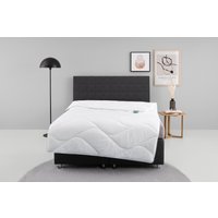 fan Microfaserbettdecke "Microfaser kochfest, Bettdecken für Sommer und Winter, Decke" leicht Füllung 100% Polyester 1 Stk. tlg. Bettdecke 135x200 cm, 155x220 cm und weitere Größen, Made in Germany von Fan