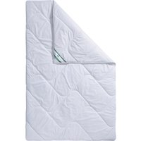 fan Microfaserbettdecke "Microfaser kochfest, Bettdecken für Sommer und Winter, Decke" warm Füllung 100% Polyester 1 Stk. tlg. Bettdecke 135x200 cm, 155x220 cm und weitere Größen, Made in Germany von Fan