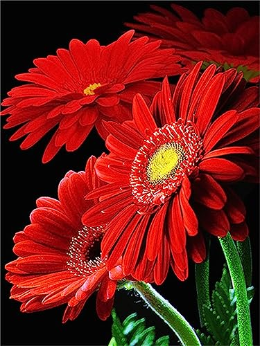 Diamond Painting,Diamant Painting Bilder, Blumen Gerbera Gänseblümchen 5D Diamant Painting Kit,DIY Kreuzstich Malerei Kits Voller Strass Stickerei Diamant Malerei Kunsthandwerk Wand Décor 30x40cm von FanSee