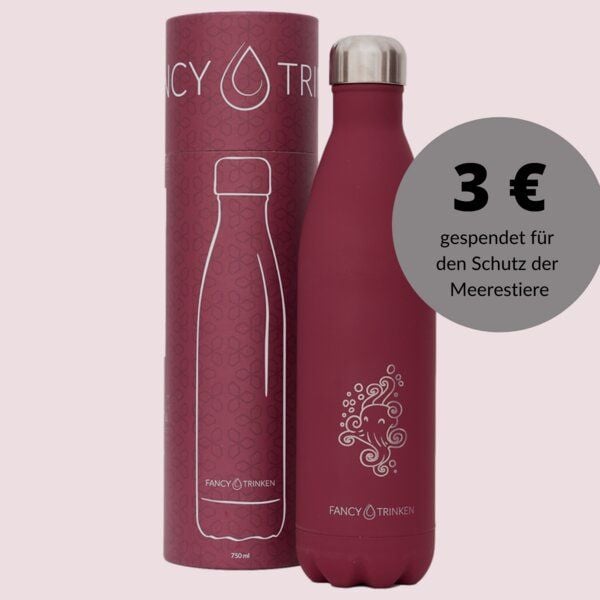 Fancy Trinken Isolierflasche 750 ml, Trinkflasche aus Edelstahl von Fancy Trinken