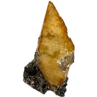 Hundszahn Calcit Stellar Strahl Goldener Honig Kristall Elmwood von FancyFossils