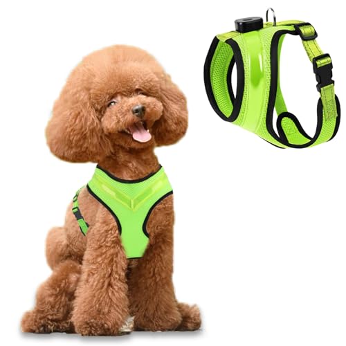 Fancysky Hundegeschirr Leuchtend Aufladbar Wiederaufladbarkeit, LED Leuchtgeschirr für Hunde, Atmungsaktive Hundegeschirre für Kleine und mittlere Hunde (M) von Fancysky